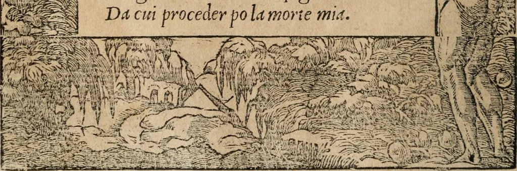 An illustration from Diverse imprese accomodate a diuerse moralità : con versi che i loro significati dichiarano : Tratte da gli Emblemi dell' Alciato, 1549, leaf 111