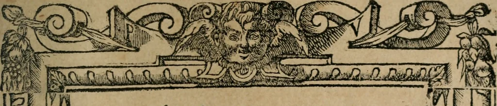An illustration from Diverse imprese accomodate a diuerse moralità : con versi che i loro significati dichiarano : Tratte da gli Emblemi dell' Alciato, 1549, leaf 132