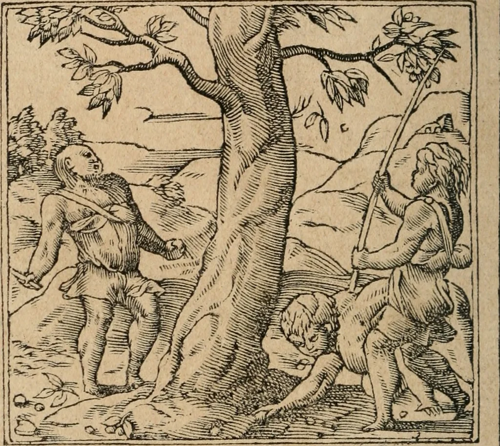 An illustration from Diverse imprese accomodate a diuerse moralità : con versi che i loro significati dichiarano : Tratte da gli Emblemi dell' Alciato, 1549, leaf 133