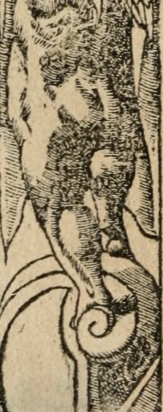An illustration from Diverse imprese accomodate a diuerse moralità : con versi che i loro significati dichiarano : Tratte da gli Emblemi dell' Alciato, 1549, leaf 135