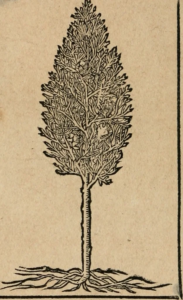 An illustration from Diverse imprese accomodate a diuerse moralità : con versi che i loro significati dichiarano : Tratte da gli Emblemi dell' Alciato, 1549, leaf 137