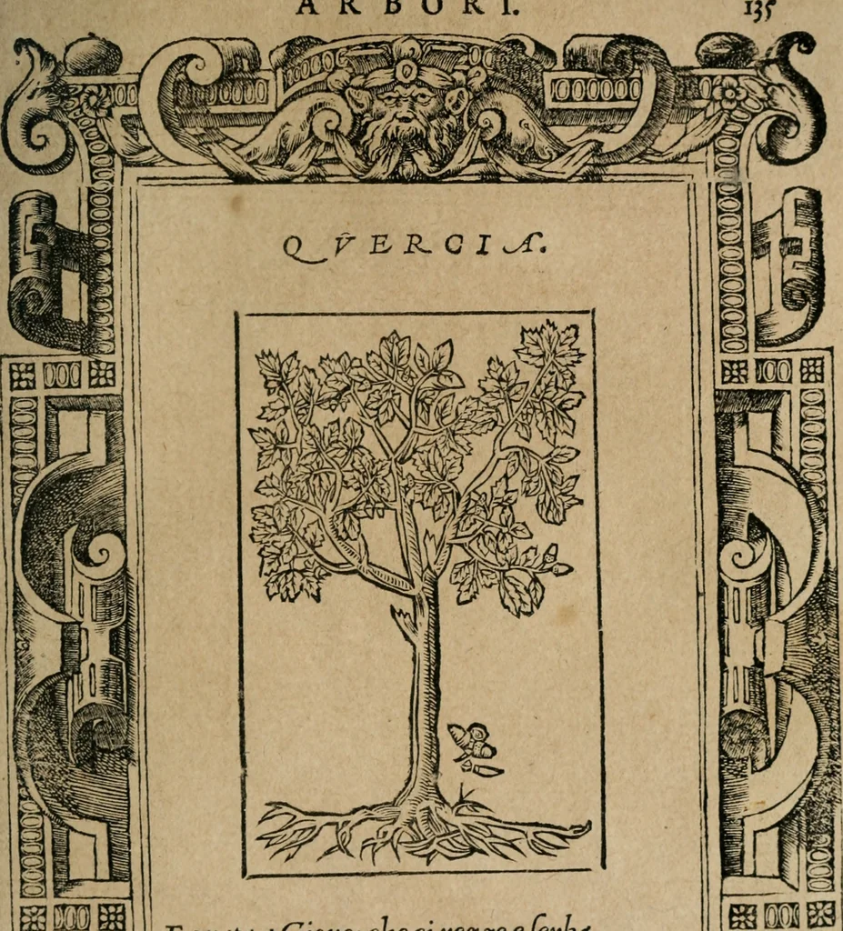 An illustration from Diverse imprese accomodate a diuerse moralità : con versi che i loro significati dichiarano : Tratte da gli Emblemi dell' Alciato, 1549, leaf 138