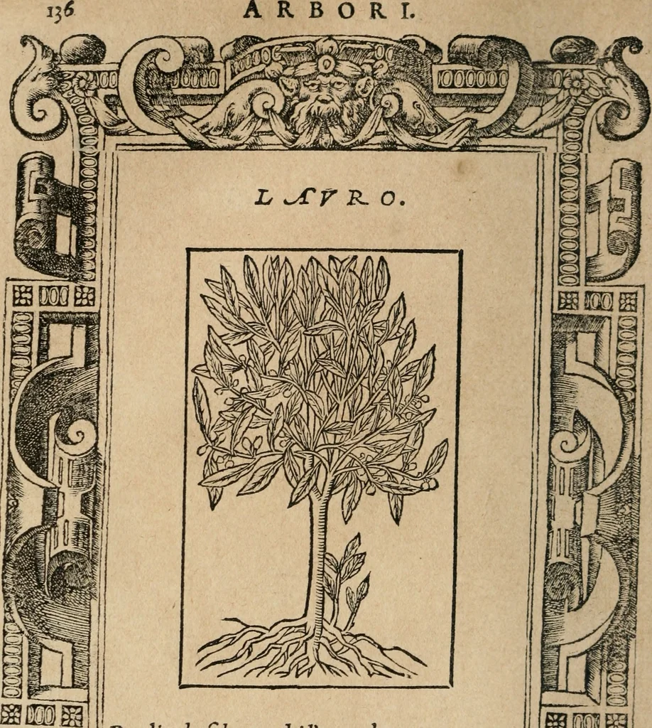 An illustration from Diverse imprese accomodate a diuerse moralità : con versi che i loro significati dichiarano : Tratte da gli Emblemi dell' Alciato, 1549, leaf 139