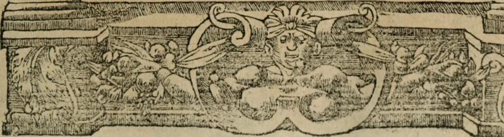 An illustration from Diverse imprese accomodate a diuerse moralità : con versi che i loro significati dichiarano : Tratte da gli Emblemi dell' Alciato, 1549, leaf 14