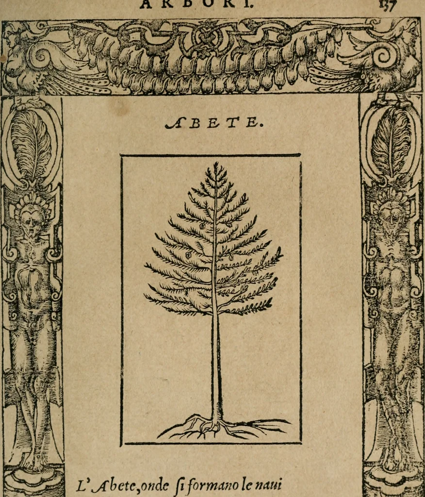 An illustration from Diverse imprese accomodate a diuerse moralità : con versi che i loro significati dichiarano : Tratte da gli Emblemi dell' Alciato, 1549, leaf 140