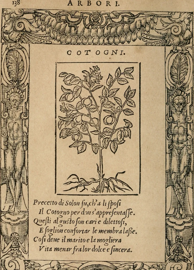 An illustration from Diverse imprese accomodate a diuerse moralità : con versi che i loro significati dichiarano : Tratte da gli Emblemi dell' Alciato, 1549, leaf 141