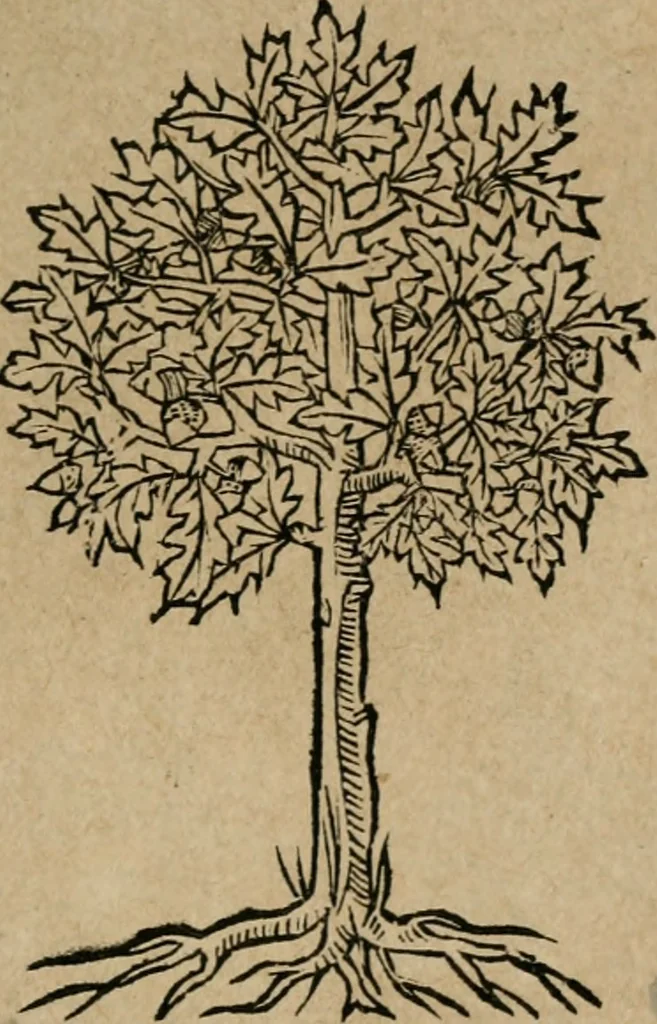 An illustration from Diverse imprese accomodate a diuerse moralità : con versi che i loro significati dichiarano : Tratte da gli Emblemi dell' Alciato, 1549, leaf 142
