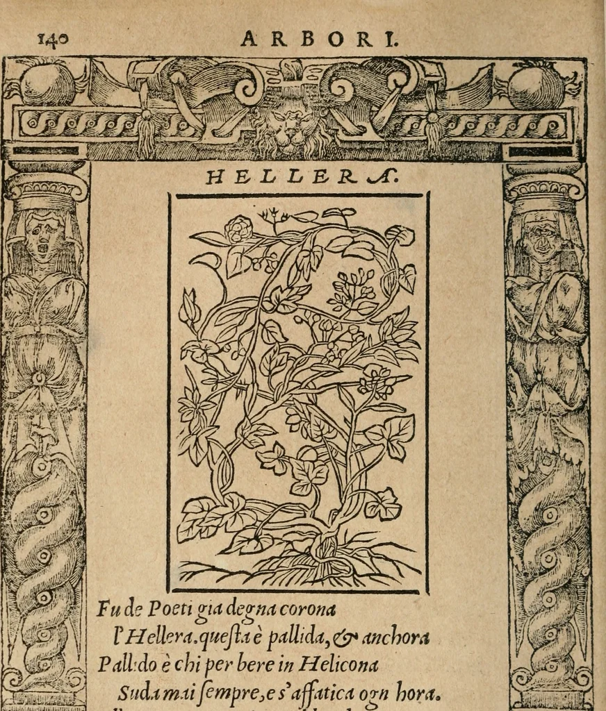 An illustration from Diverse imprese accomodate a diuerse moralità : con versi che i loro significati dichiarano : Tratte da gli Emblemi dell' Alciato, 1549, leaf 143