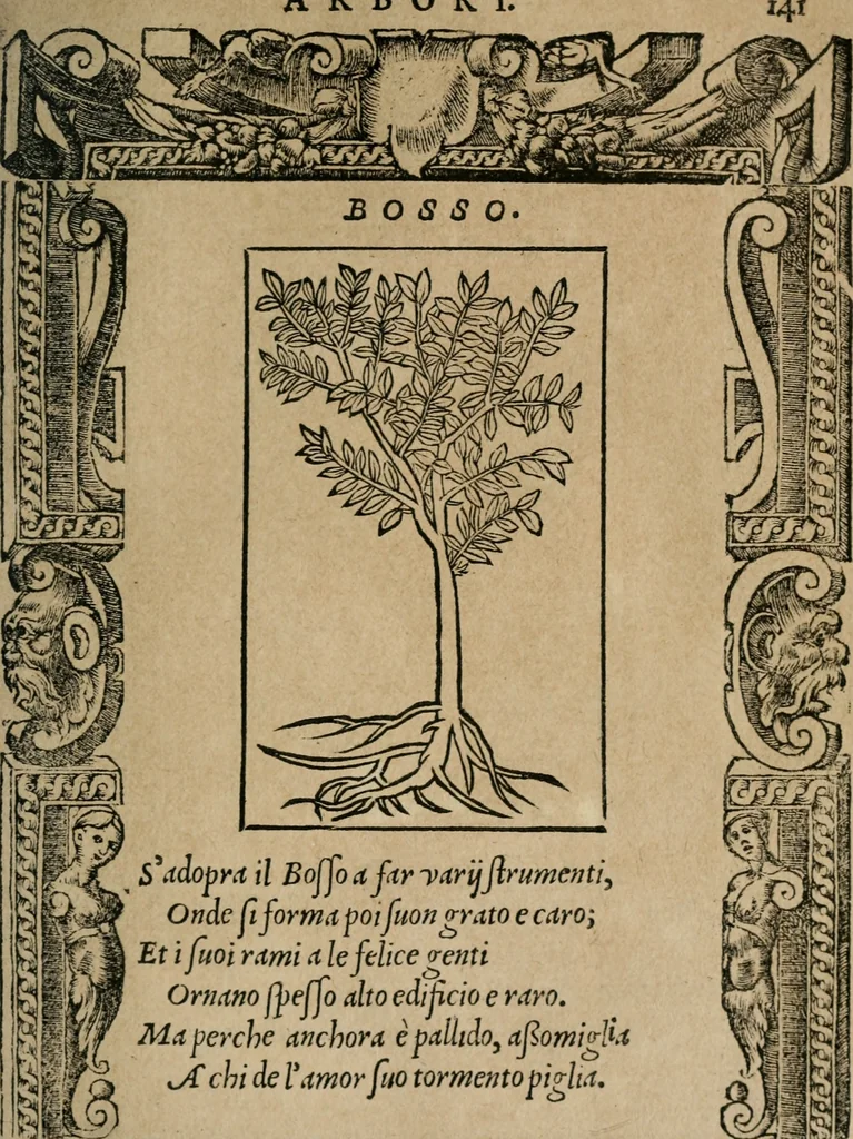 An illustration from Diverse imprese accomodate a diuerse moralità : con versi che i loro significati dichiarano : Tratte da gli Emblemi dell' Alciato, 1549, leaf 144
