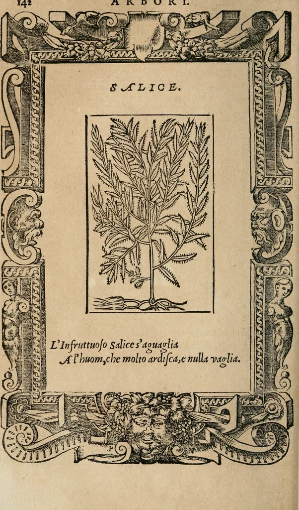 An illustration from Diverse imprese accomodate a diuerse moralità : con versi che i loro significati dichiarano : Tratte da gli Emblemi dell' Alciato, 1549, leaf 145