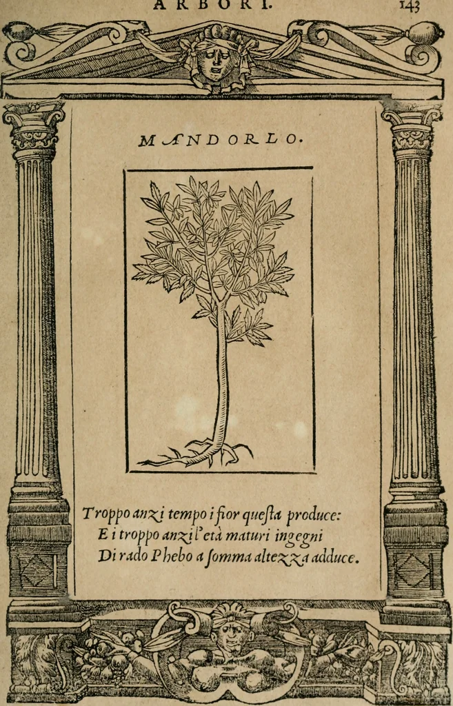An illustration from Diverse imprese accomodate a diuerse moralità : con versi che i loro significati dichiarano : Tratte da gli Emblemi dell' Alciato, 1549, leaf 146