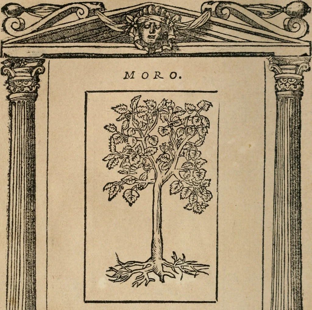An illustration from Diverse imprese accomodate a diuerse moralità : con versi che i loro significati dichiarano : Tratte da gli Emblemi dell' Alciato, 1549, leaf 147