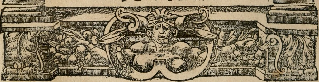 An illustration from Diverse imprese accomodate a diuerse moralità : con versi che i loro significati dichiarano : Tratte da gli Emblemi dell' Alciato, 1549, leaf 147