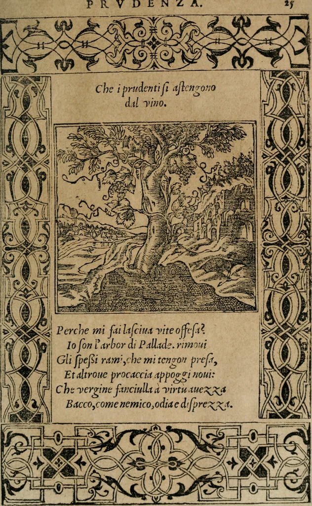 An illustration from Diverse imprese accomodate a diuerse moralità : con versi che i loro significati dichiarano : Tratte da gli Emblemi dell' Alciato, 1549, leaf 28