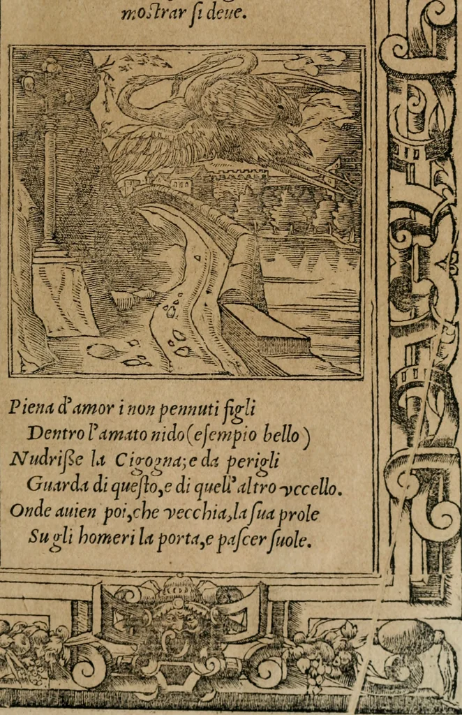 An illustration from Diverse imprese accomodate a diuerse moralità : con versi che i loro significati dichiarano : Tratte da gli Emblemi dell' Alciato, 1549, leaf 34