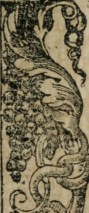 An illustration from Diverse imprese accomodate a diuerse moralità : con versi che i loro significati dichiarano : Tratte da gli Emblemi dell' Alciato, 1549, leaf 40