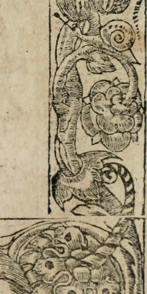 An illustration from Diverse imprese accomodate a diuerse moralità : con versi che i loro significati dichiarano : Tratte da gli Emblemi dell' Alciato, 1549, leaf 40