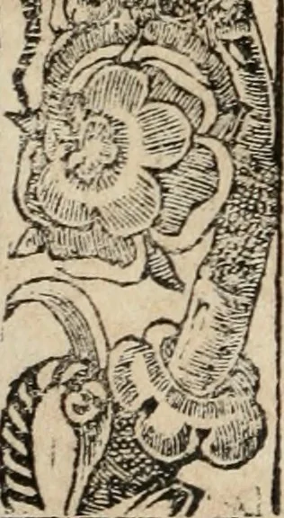An illustration from Diverse imprese accomodate a diuerse moralità : con versi che i loro significati dichiarano : Tratte da gli Emblemi dell' Alciato, 1549, leaf 41
