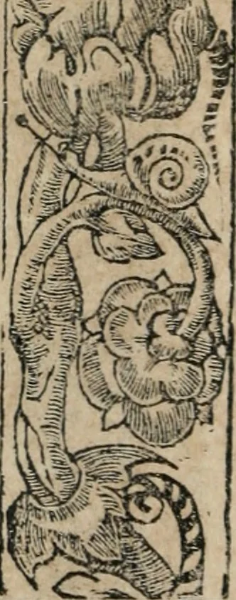 An illustration from Diverse imprese accomodate a diuerse moralità : con versi che i loro significati dichiarano : Tratte da gli Emblemi dell' Alciato, 1549, leaf 41