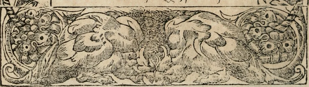 An illustration from Diverse imprese accomodate a diuerse moralità : con versi che i loro significati dichiarano : Tratte da gli Emblemi dell' Alciato, 1549, leaf 41