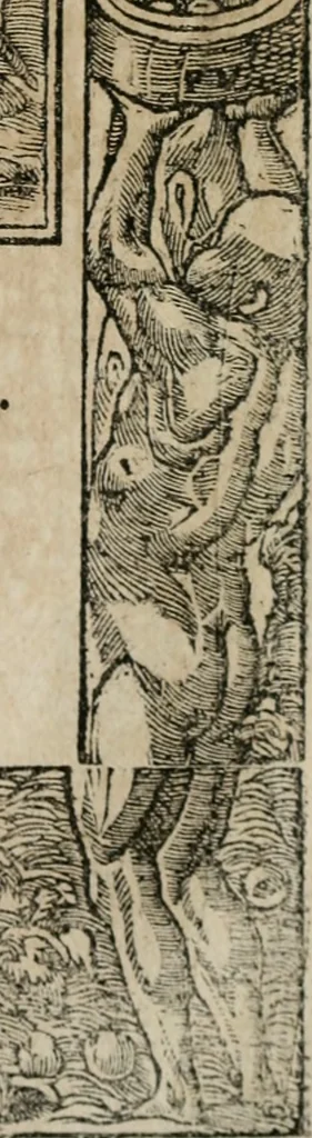 An illustration from Diverse imprese accomodate a diuerse moralità : con versi che i loro significati dichiarano : Tratte da gli Emblemi dell' Alciato, 1549, leaf 44