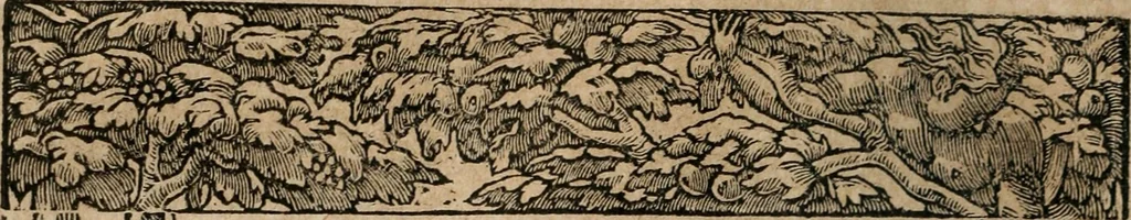 An illustration from Diverse imprese accomodate a diuerse moralità : con versi che i loro significati dichiarano : Tratte da gli Emblemi dell' Alciato, 1549, leaf 45