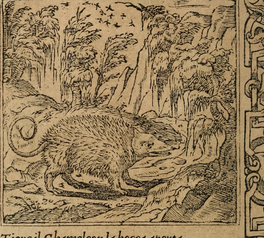 An illustration from Diverse imprese accomodate a diuerse moralità : con versi che i loro significati dichiarano : Tratte da gli Emblemi dell' Alciato, 1549, leaf 53