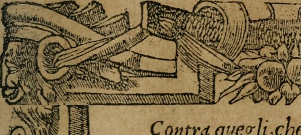 An illustration from Diverse imprese accomodate a diuerse moralità : con versi che i loro significati dichiarano : Tratte da gli Emblemi dell' Alciato, 1549, leaf 56