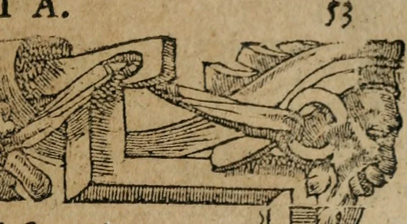 An illustration from Diverse imprese accomodate a diuerse moralità : con versi che i loro significati dichiarano : Tratte da gli Emblemi dell' Alciato, 1549, leaf 56