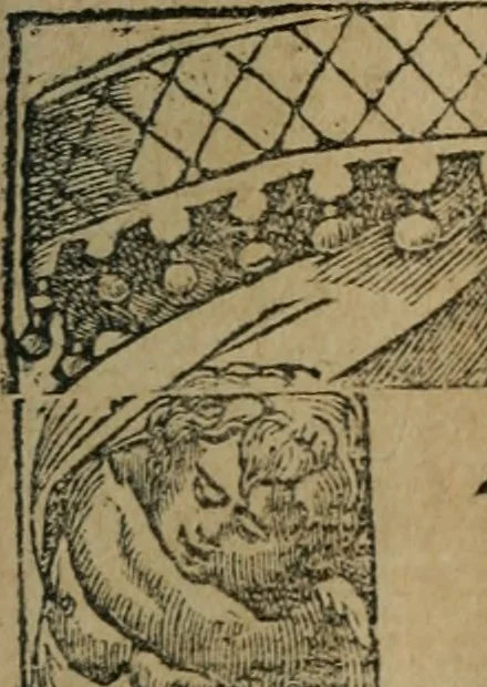 An illustration from Diverse imprese accomodate a diuerse moralità : con versi che i loro significati dichiarano : Tratte da gli Emblemi dell' Alciato, 1549, leaf 6