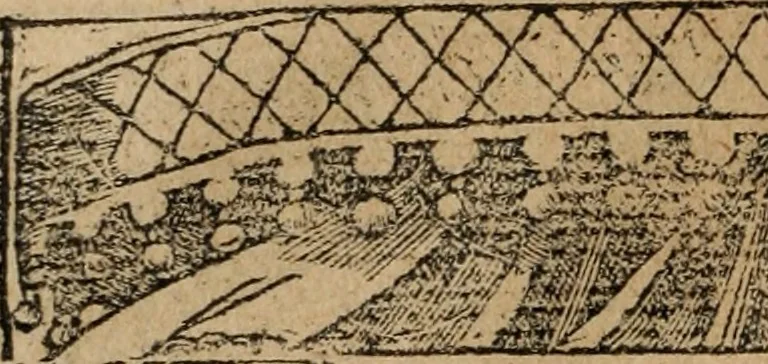 An illustration from Diverse imprese accomodate a diuerse moralità : con versi che i loro significati dichiarano : Tratte da gli Emblemi dell' Alciato, 1549, leaf 69