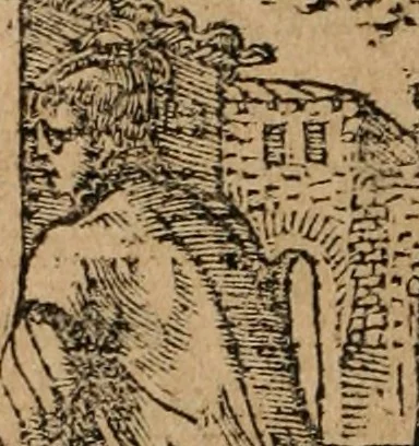 An illustration from Diverse imprese accomodate a diuerse moralità : con versi che i loro significati dichiarano : Tratte da gli Emblemi dell' Alciato, 1549, leaf 69