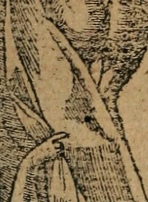 An illustration from Diverse imprese accomodate a diuerse moralità : con versi che i loro significati dichiarano : Tratte da gli Emblemi dell' Alciato, 1549, leaf 69