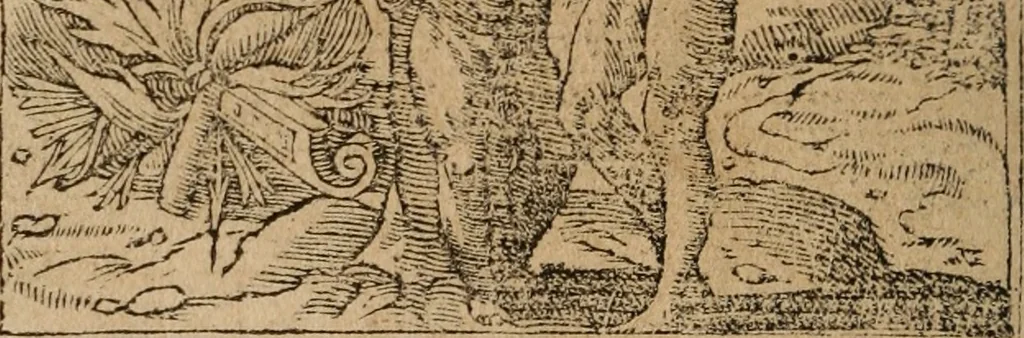 An illustration from Diverse imprese accomodate a diuerse moralità : con versi che i loro significati dichiarano : Tratte da gli Emblemi dell' Alciato, 1549, leaf 79
