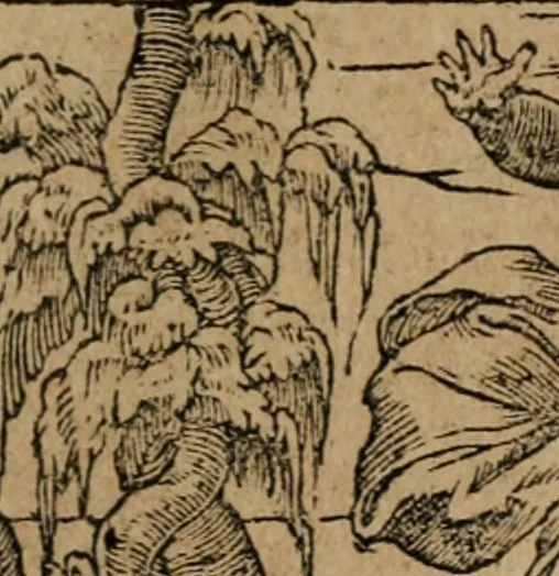 An illustration from Diverse imprese accomodate a diuerse moralità : con versi che i loro significati dichiarano : Tratte da gli Emblemi dell' Alciato, 1549, leaf 86