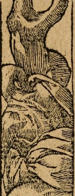 An illustration from Diverse imprese accommodate a diuerse moralità : con versi che i loro significati dichiarano : tratte da gli emblemi dell'Alciato, 1549, leaf 111