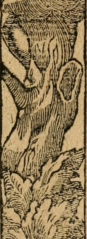 An illustration from Diverse imprese accommodate a diuerse moralità : con versi che i loro significati dichiarano : tratte da gli emblemi dell'Alciato, 1549, leaf 111