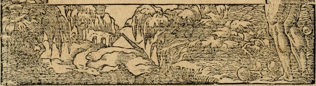 An illustration from Diverse imprese accommodate a diuerse moralità : con versi che i loro significati dichiarano : tratte da gli emblemi dell'Alciato, 1549, leaf 111