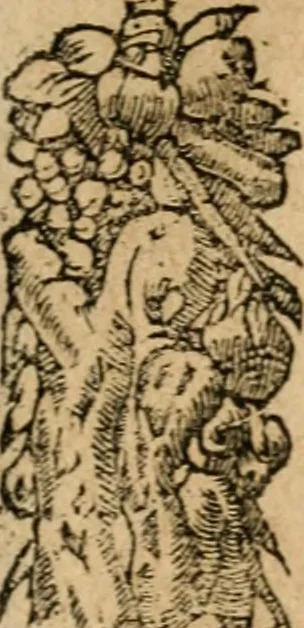 An illustration from Diverse imprese accommodate a diuerse moralità : con versi che i loro significati dichiarano : tratte da gli emblemi dell'Alciato, 1549, leaf 114