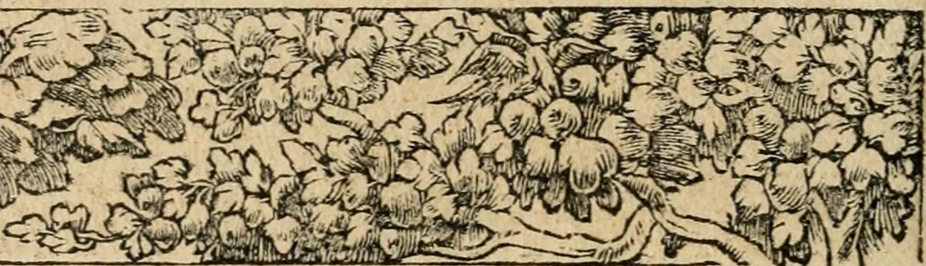 An illustration from Diverse imprese accommodate a diuerse moralità : con versi che i loro significati dichiarano : tratte da gli emblemi dell'Alciato, 1549, leaf 117