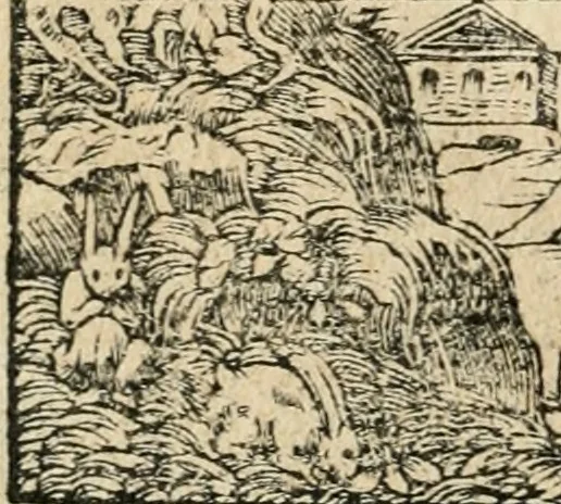 An illustration from Diverse imprese accommodate a diuerse moralità : con versi che i loro significati dichiarano : tratte da gli emblemi dell'Alciato, 1549, leaf 117