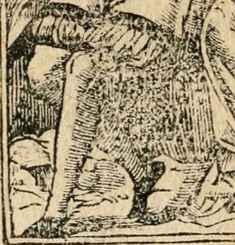 An illustration from Diverse imprese accommodate a diuerse moralità : con versi che i loro significati dichiarano : tratte da gli emblemi dell'Alciato, 1549, leaf 131