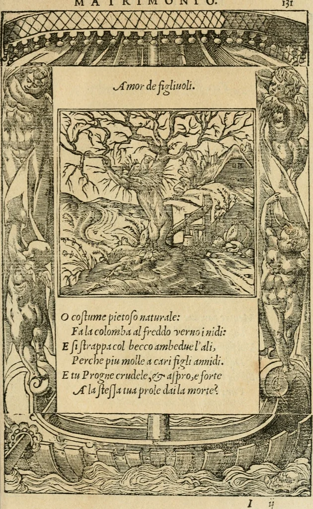 An illustration from Diverse imprese accommodate a diuerse moralità : con versi che i loro significati dichiarano : tratte da gli emblemi dell'Alciato, 1549, leaf 134