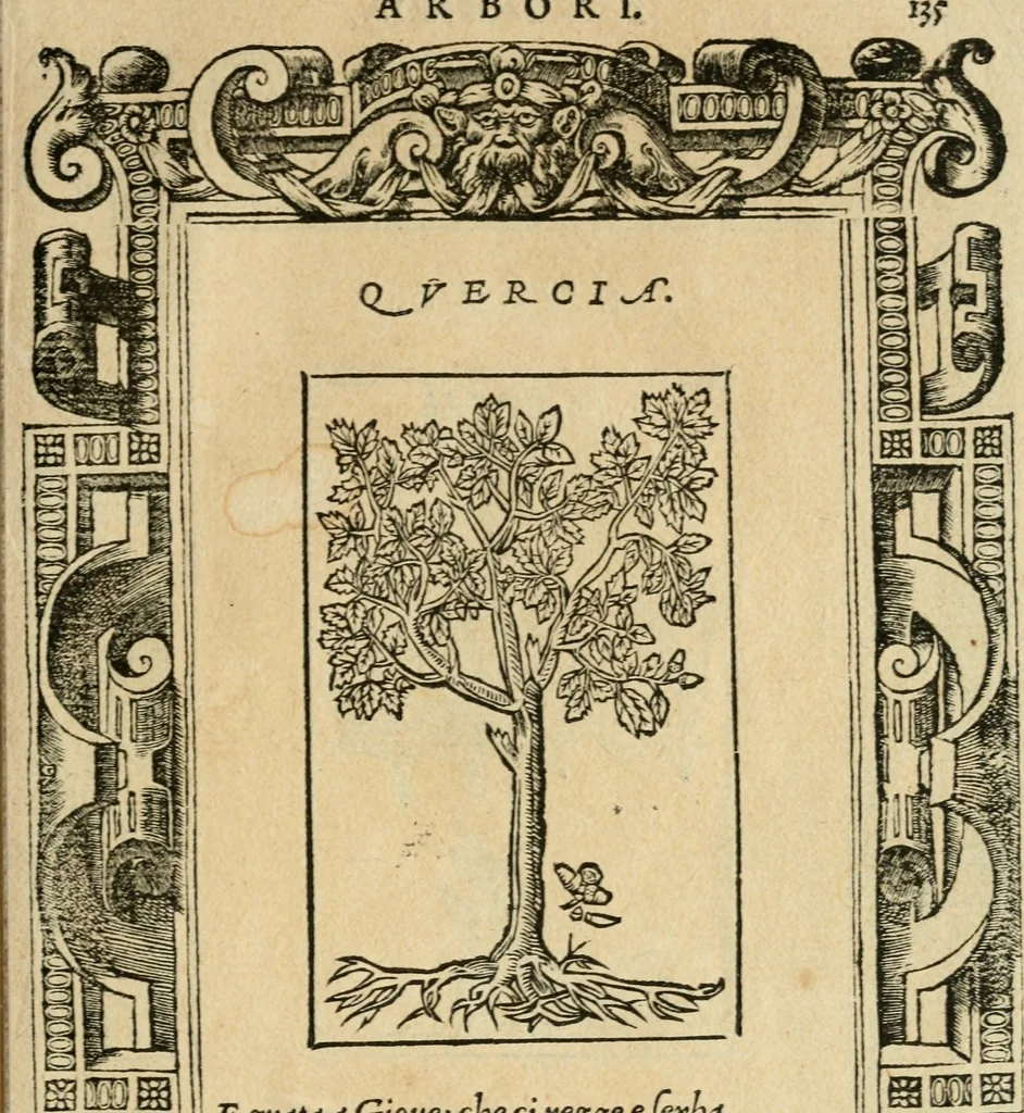 An illustration from Diverse imprese accommodate a diuerse moralità : con versi che i loro significati dichiarano : tratte da gli emblemi dell'Alciato, 1549, leaf 138