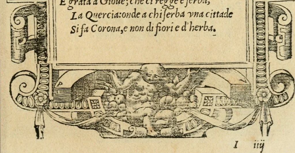 An illustration from Diverse imprese accommodate a diuerse moralità : con versi che i loro significati dichiarano : tratte da gli emblemi dell'Alciato, 1549, leaf 138