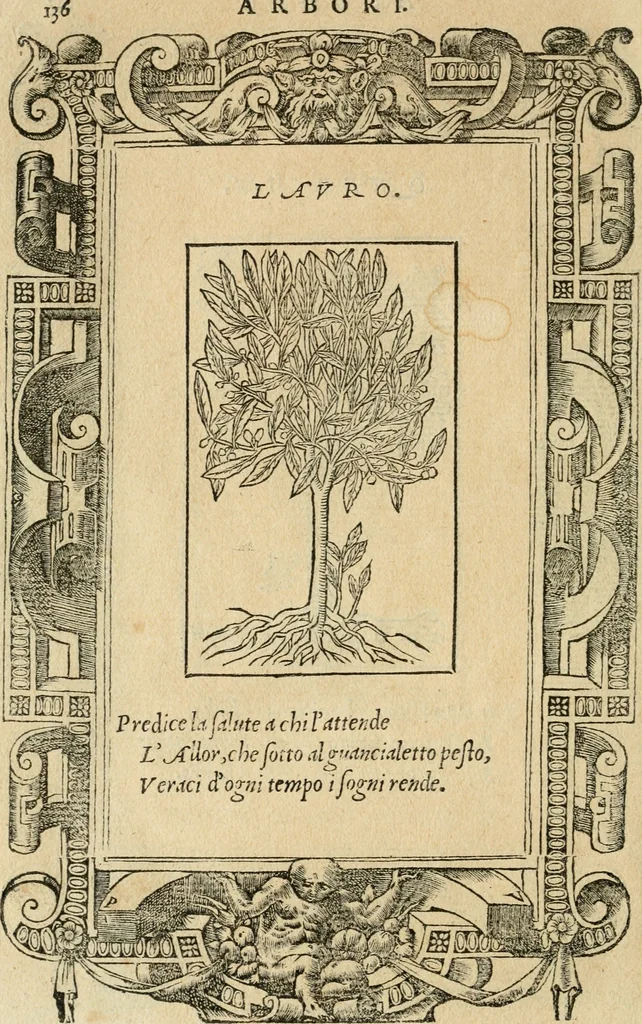An illustration from Diverse imprese accommodate a diuerse moralità : con versi che i loro significati dichiarano : tratte da gli emblemi dell'Alciato, 1549, leaf 139