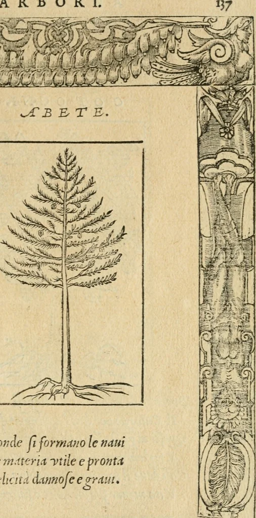 An illustration from Diverse imprese accommodate a diuerse moralità : con versi che i loro significati dichiarano : tratte da gli emblemi dell'Alciato, 1549, leaf 140