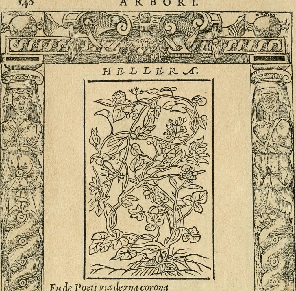An illustration from Diverse imprese accommodate a diuerse moralità : con versi che i loro significati dichiarano : tratte da gli emblemi dell'Alciato, 1549, leaf 143
