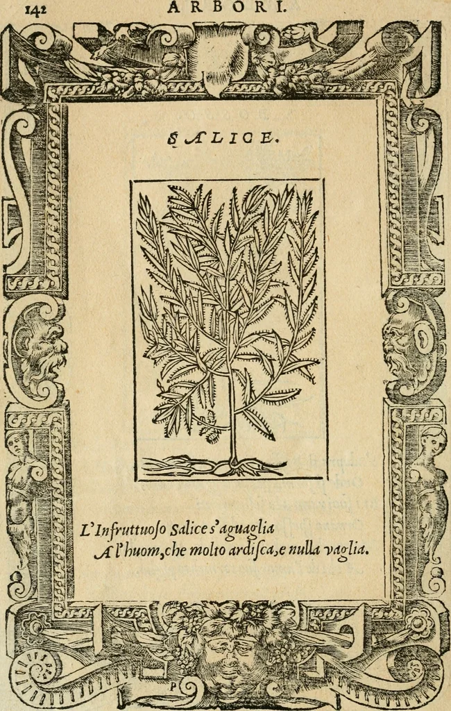 An illustration from Diverse imprese accommodate a diuerse moralità : con versi che i loro significati dichiarano : tratte da gli emblemi dell'Alciato, 1549, leaf 145