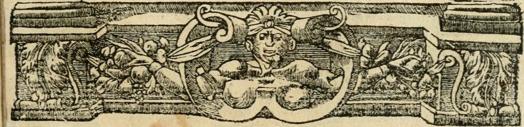 An illustration from Diverse imprese accommodate a diuerse moralità : con versi che i loro significati dichiarano : tratte da gli emblemi dell'Alciato, 1549, leaf 146